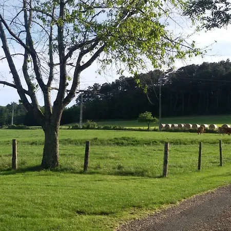 Сasa de vacaciones La Nappie Réalmont